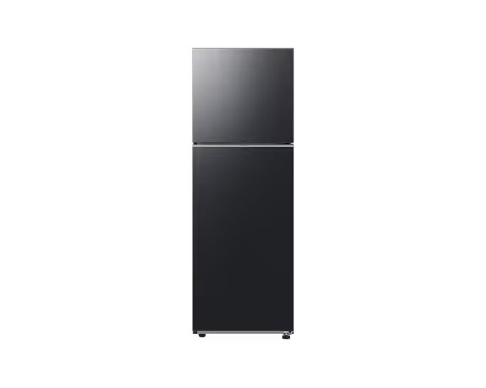 RT31 B1 305L Top Mount Freezer(RT31CG5420B1SE)